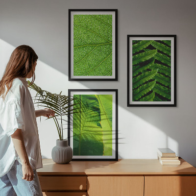 Sada nástenných dekorácií Makrofotografia tropických listov