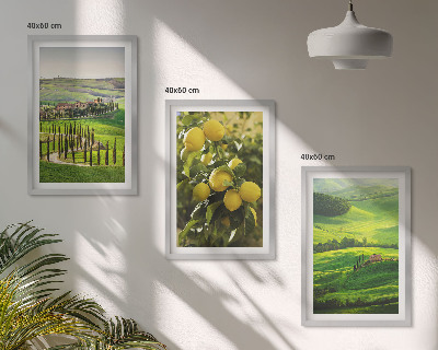 Nástenná galéria Talianske citrusy a kopce