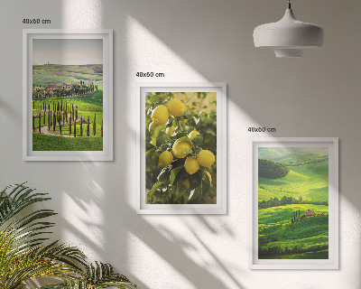 Nástenná galéria Talianske citrusy a kopce