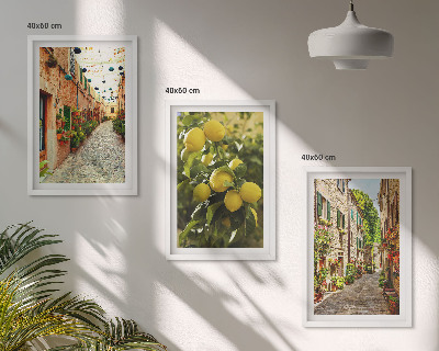 Sada nástenných dekorácií Ulice s citrónovými kvetmi v pozadí