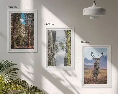 Sada nástenných dekorácií cesta cez les s horami a jeleňom v prírode
