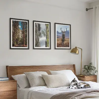 Sada nástenných dekorácií cesta cez les s horami a jeleňom v prírode