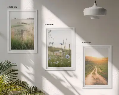Nástenná galéria krajina s prírodnou scenériou polí a chodníka