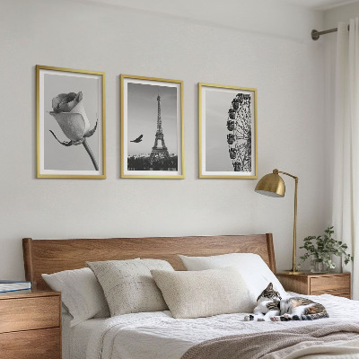 Sada nástenných dekorácií Ruské koleso Eiffelovej veže Rose