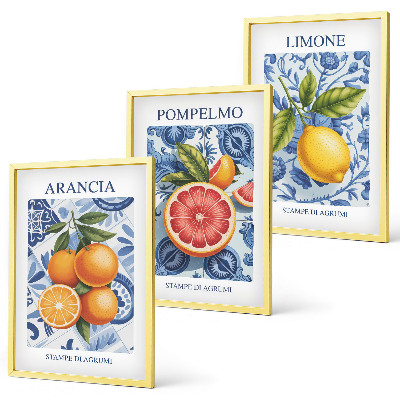 Nástenná galéria Citrusové ovocie Vintage ilustrácie