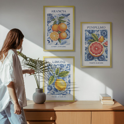 Nástenná galéria Citrusové ovocie Vintage ilustrácie