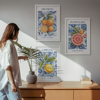 Nástenná galéria Citrusové ovocie Vintage ilustrácie