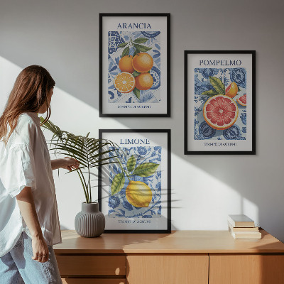 Nástenná galéria Citrusové ovocie Vintage ilustrácie