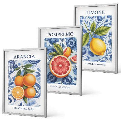 Nástenná galéria Citrusové ovocie Vintage ilustrácie