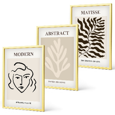 Nástenná galéria Tvár opúšťa umenie Matisse