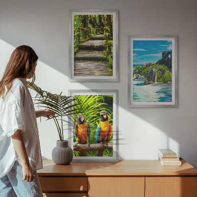 Sada nástenných dekorácií Vodopád papagájov v tropickom lese