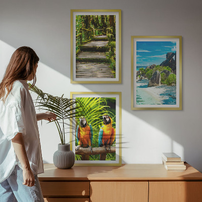 Sada nástenných dekorácií Vodopád papagájov v tropickom lese