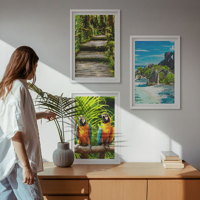 Sada nástenných dekorácií Vodopád papagájov v tropickom lese
