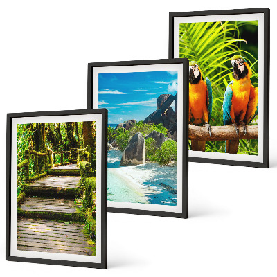 Sada nástenných dekorácií Vodopád papagájov v tropickom lese