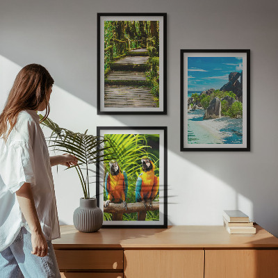 Sada nástenných dekorácií Vodopád papagájov v tropickom lese