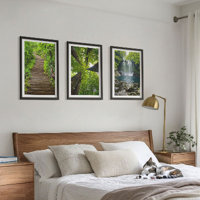 Nástenná galéria Cesta les vodopád vegetácia