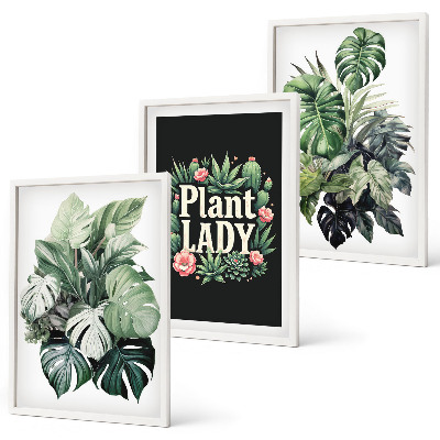 Sada nástenných dekorácií Tropické rastliny Plant Lady