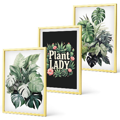 Sada nástenných dekorácií Tropické rastliny Plant Lady