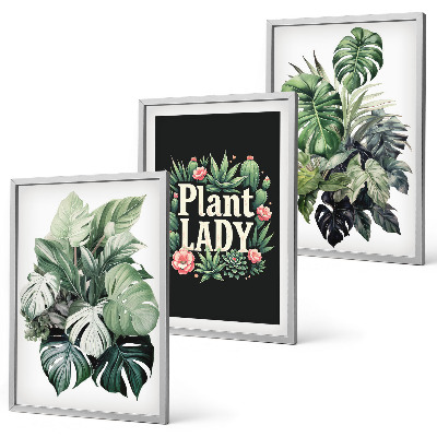 Sada nástenných dekorácií Tropické rastliny Plant Lady