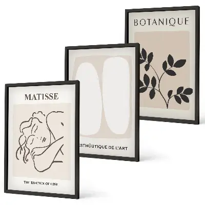 Sada nástenných dekorácií štýlové rastlinné maľby v štýle Matisse