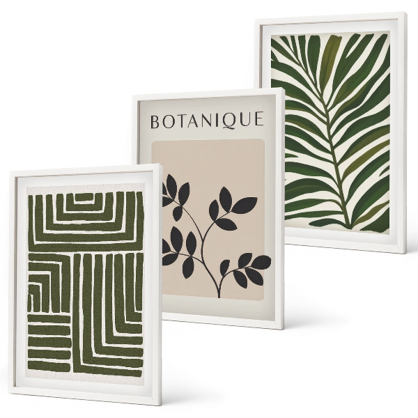 Nástenná galéria Botanický boho minimalizmus