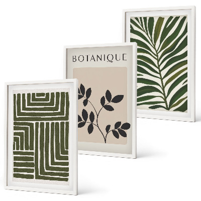 Nástenná galéria Botanický boho minimalizmus