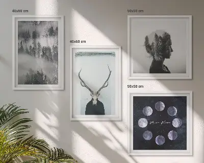 Zarámovaný set obrazov s motívom lesa, hmly, mesiaca, lebky a ženy