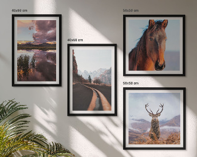 Zarámovaný set obrazov Horská krajina sobí konská cesta