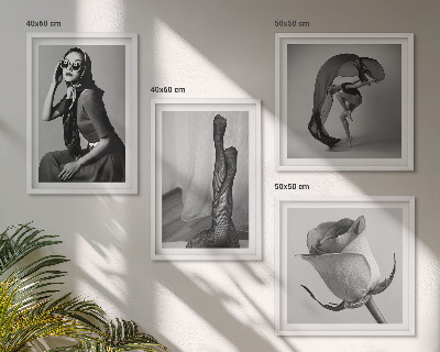 Zarámovaný set obrazov Štýlové portréty elegantných žien