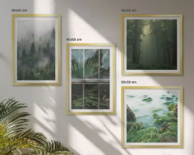 Zarámovaný set obrazov lesná hmla, rieka a skleníkové rastliny