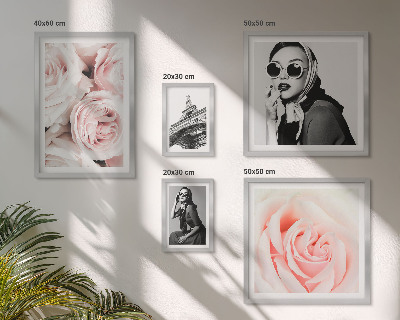 Galéria obrazov na stenu Štýlové a elegantné portréty ruží