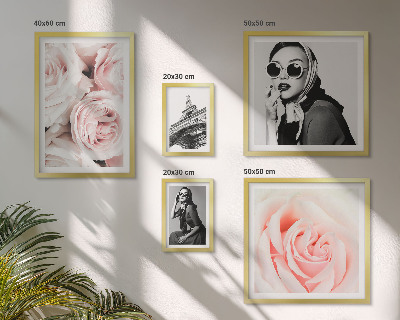 Galéria obrazov na stenu Štýlové a elegantné portréty ruží
