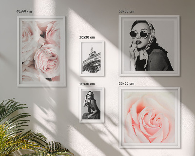 Galéria obrazov na stenu Štýlové a elegantné portréty ruží