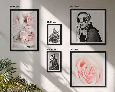 Galéria obrazov na stenu Štýlové a elegantné portréty ruží