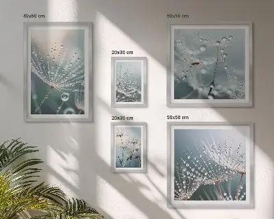 Minimalistické rastliny Dewdrops sada obrazov nad pohovku