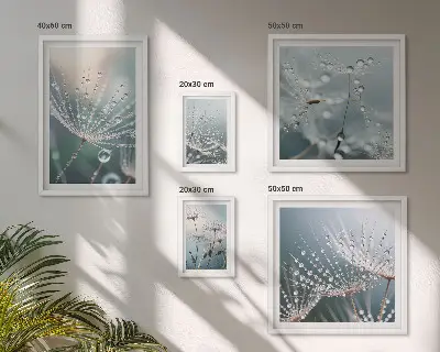 Minimalistické rastliny Dewdrops sada obrazov nad pohovku