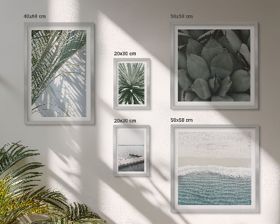 Galéria obrazov na stenu Tropické rastliny s morom