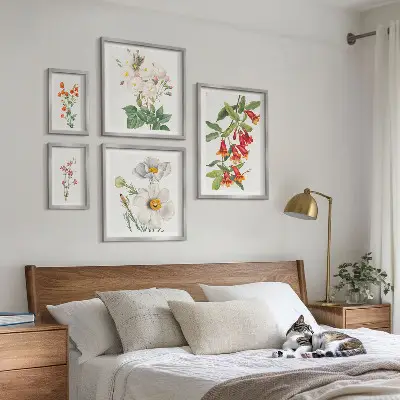 Kvetinové botanické ilustrácie galéria obrazov na stenu