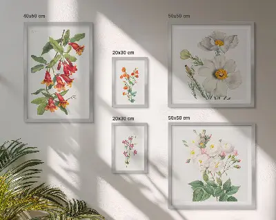 Kvetinové botanické ilustrácie galéria obrazov na stenu
