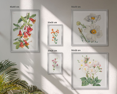 Galéria obrazov na stenu Kvetinové botanické ilustrácie