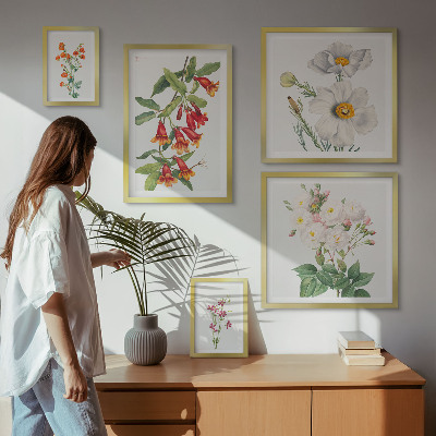 Galéria obrazov na stenu Kvetinové botanické ilustrácie
