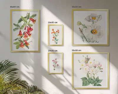 Kvetinové botanické ilustrácie galéria obrazov na stenu