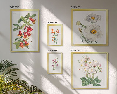 Galéria obrazov na stenu Kvetinové botanické ilustrácie