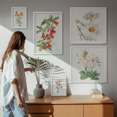 Galéria obrazov na stenu Kvetinové botanické ilustrácie