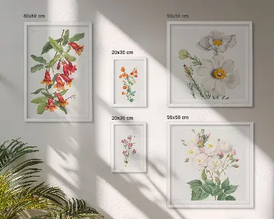 Kvetinové botanické ilustrácie galéria obrazov na stenu