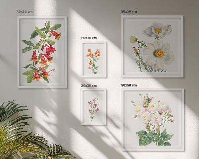 Galéria obrazov na stenu Kvetinové botanické ilustrácie