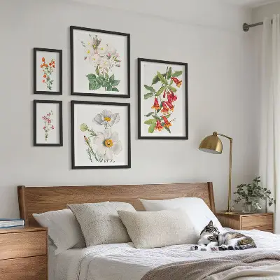 Kvetinové botanické ilustrácie galéria obrazov na stenu