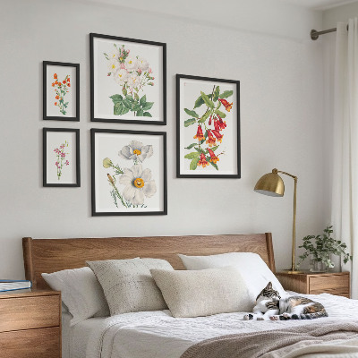Galéria obrazov na stenu Kvetinové botanické ilustrácie