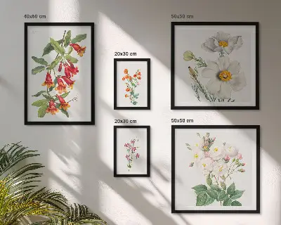 Kvetinové botanické ilustrácie galéria obrazov na stenu