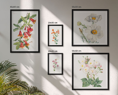 Galéria obrazov na stenu Kvetinové botanické ilustrácie